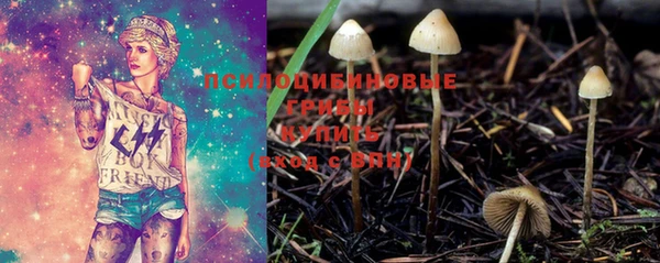прущие крисы Алексеевка