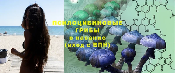 прущие крисы Алексеевка