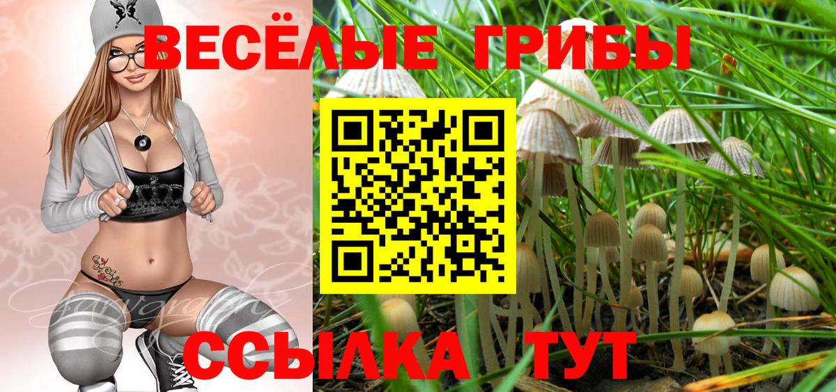 Псилоцибиновые грибы Psilocybe  Вход с VPN  Курчалой  Галлюциногенные грибы Cubensis 