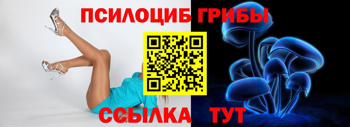 Псилоцибиновые грибы прущие грибы Курчалой