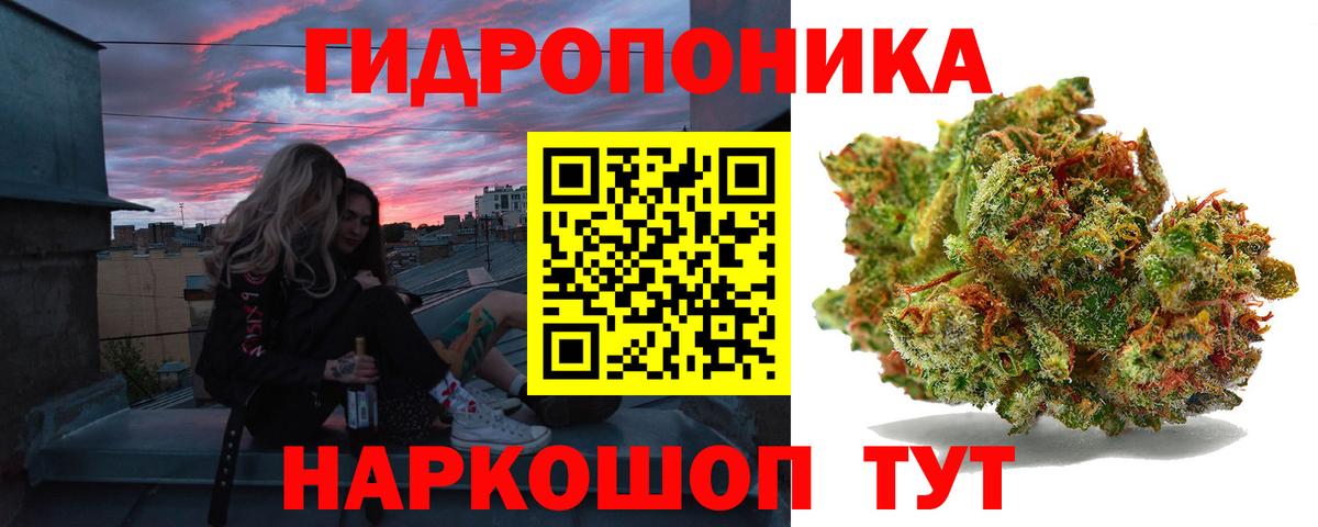 Конопля семена  Вход с VPN  Курчалой  МАРИХУАНА Bruce Banner  Каннабис планчик  Конопля White Widow 